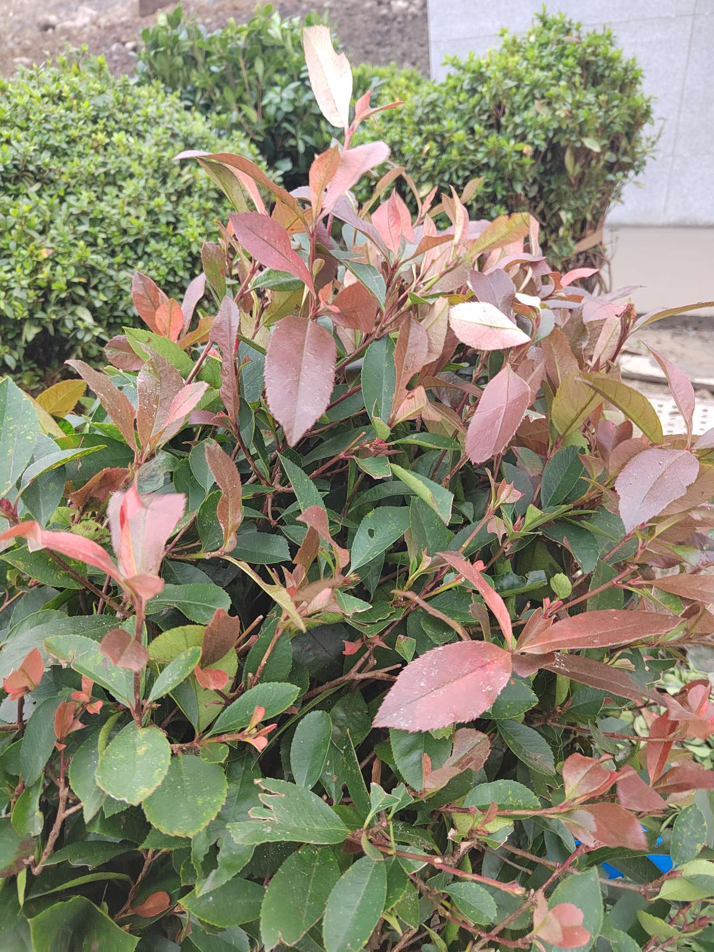 找休闲老伴搭子