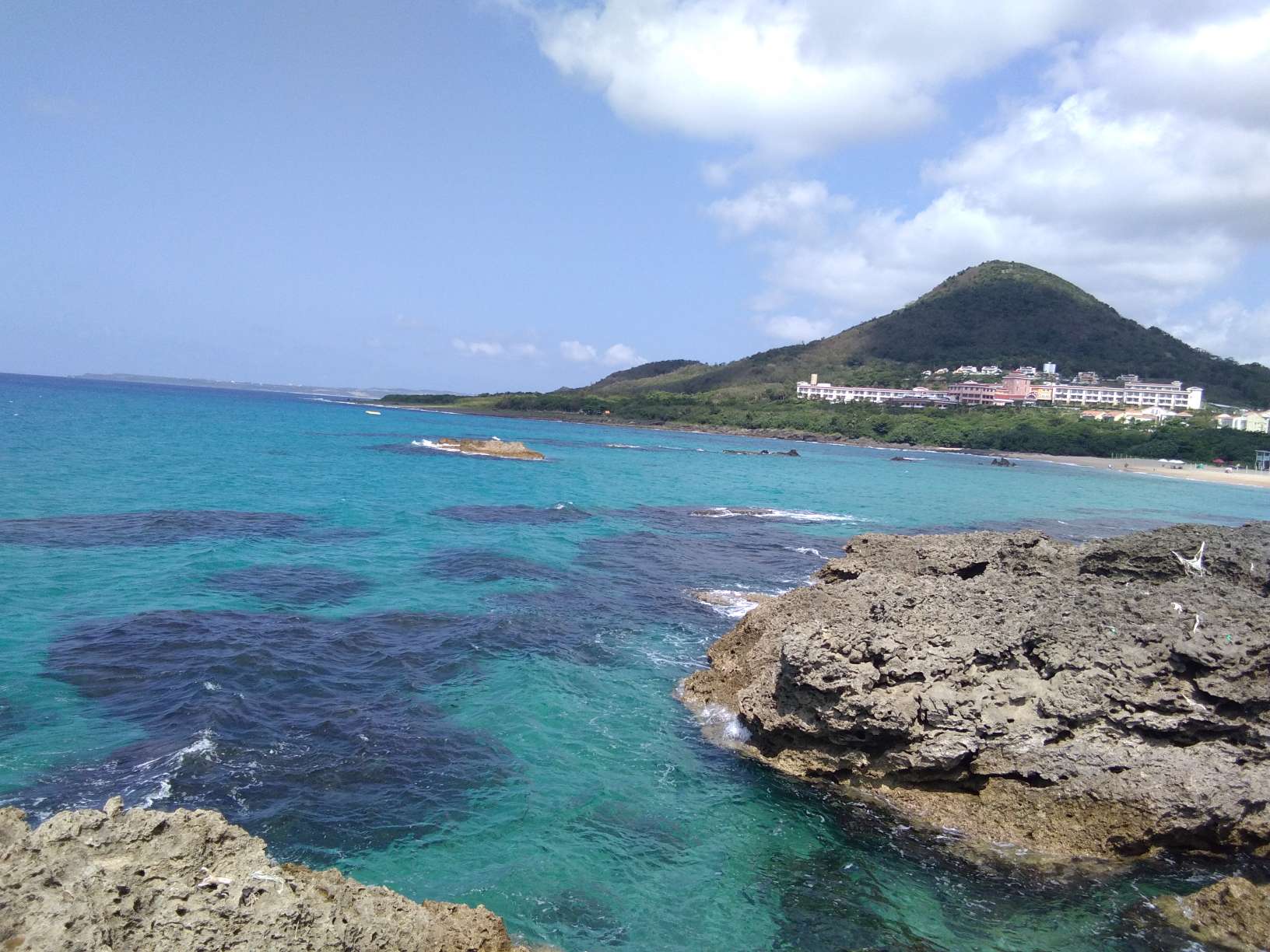 找恋爱老伴搭子