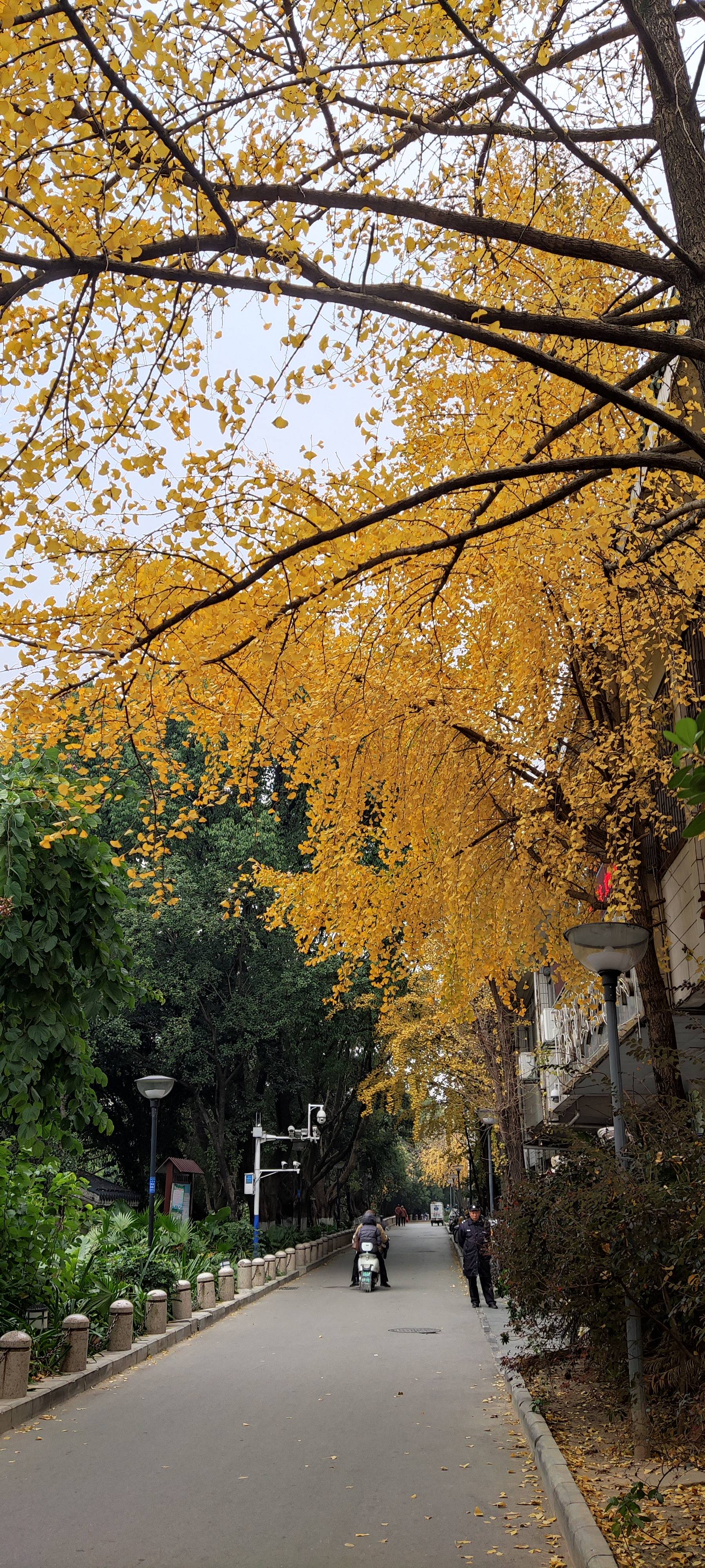 找旅游老伴搭子