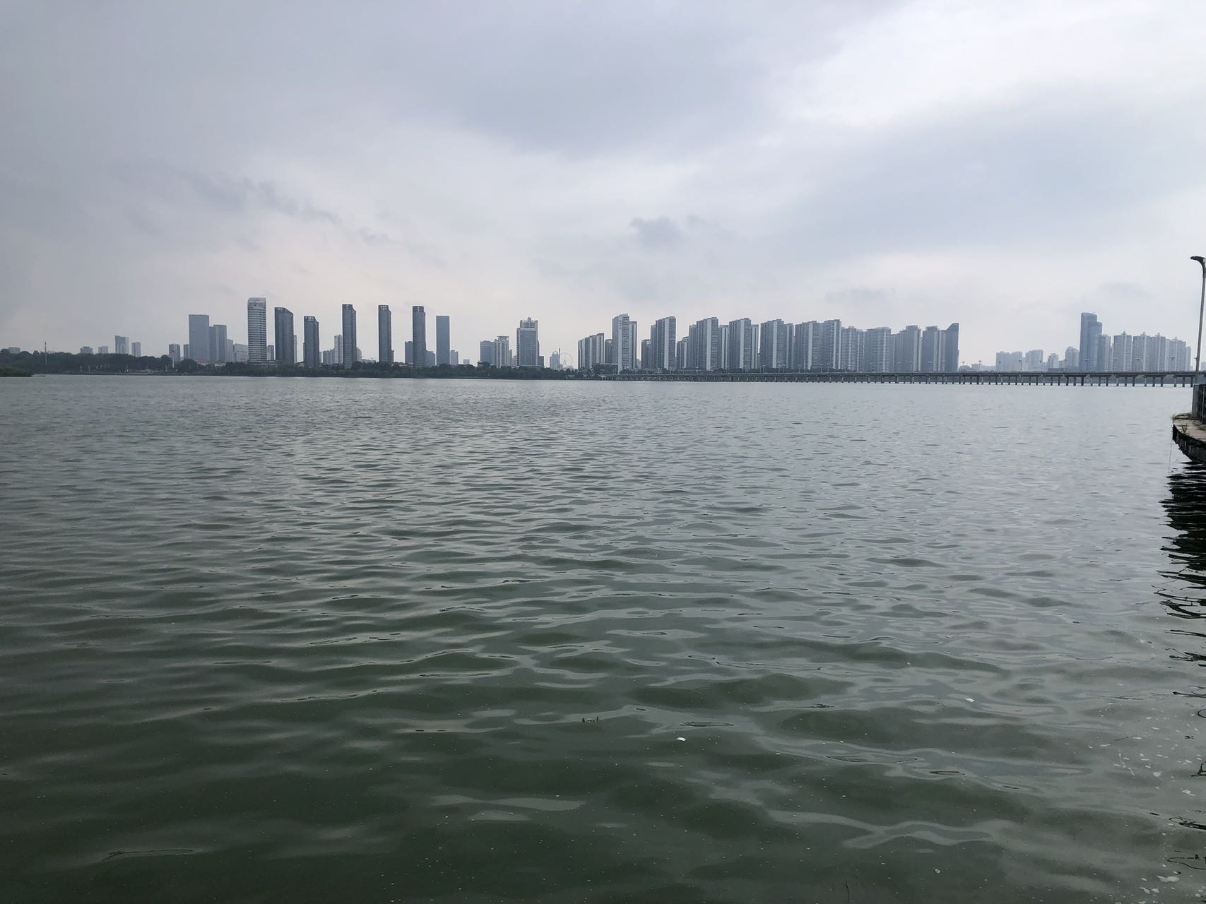 找健身老伴搭子