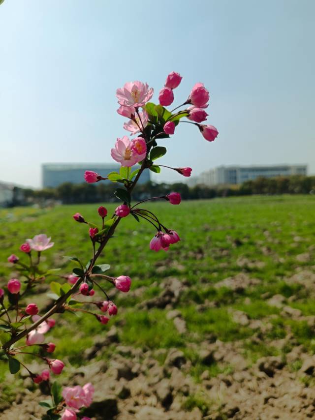 找运动老伴搭子