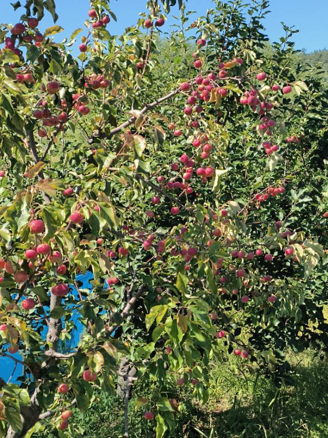 找骑行老伴搭子