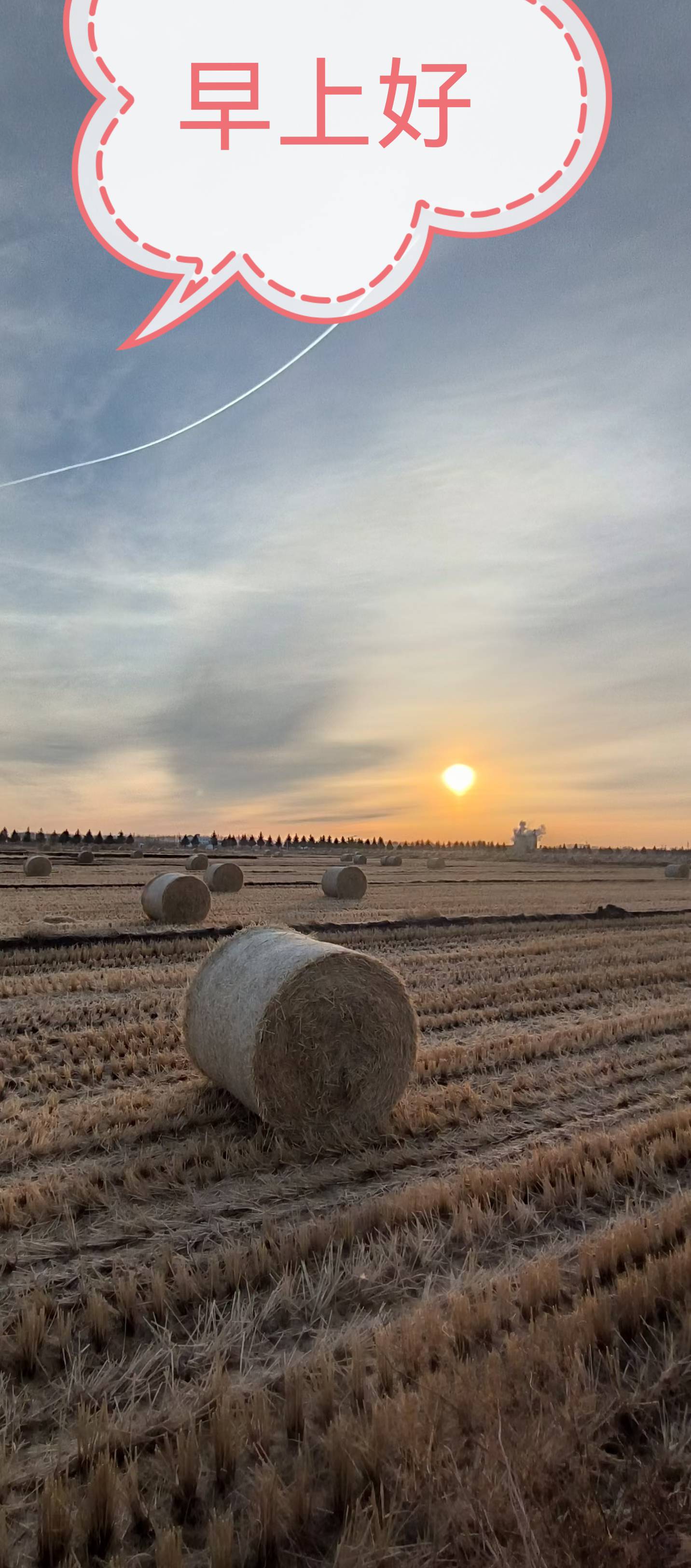 找骑行老伴搭子