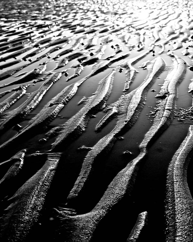 找摄影老伴搭子