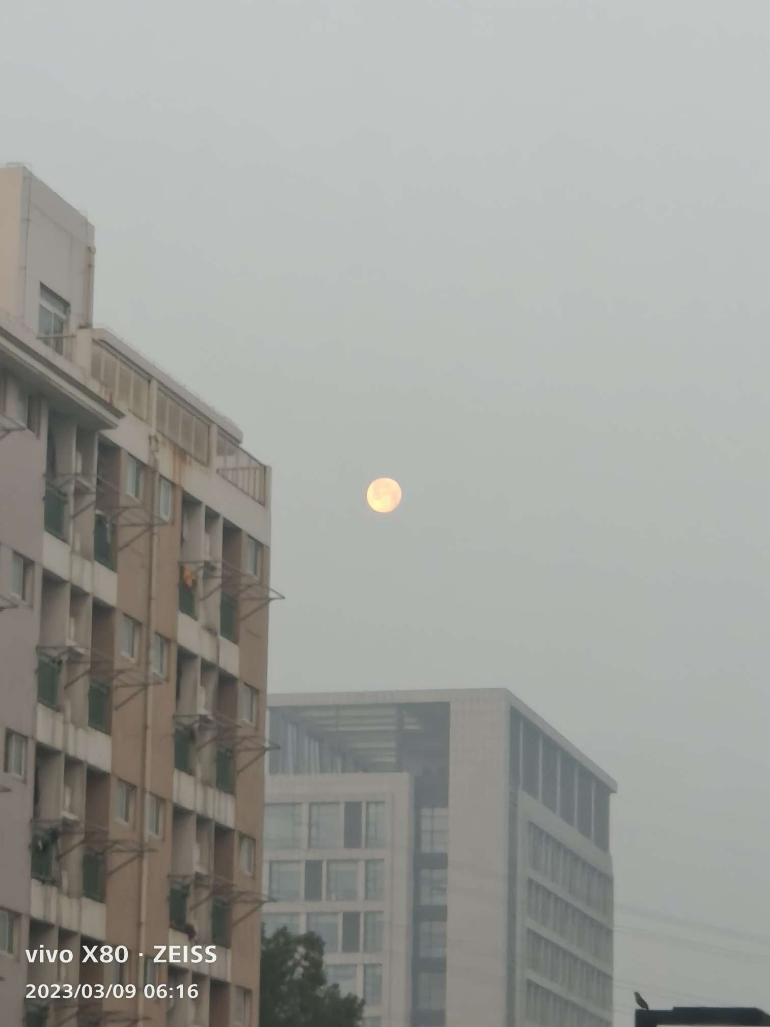 找运动老伴搭子