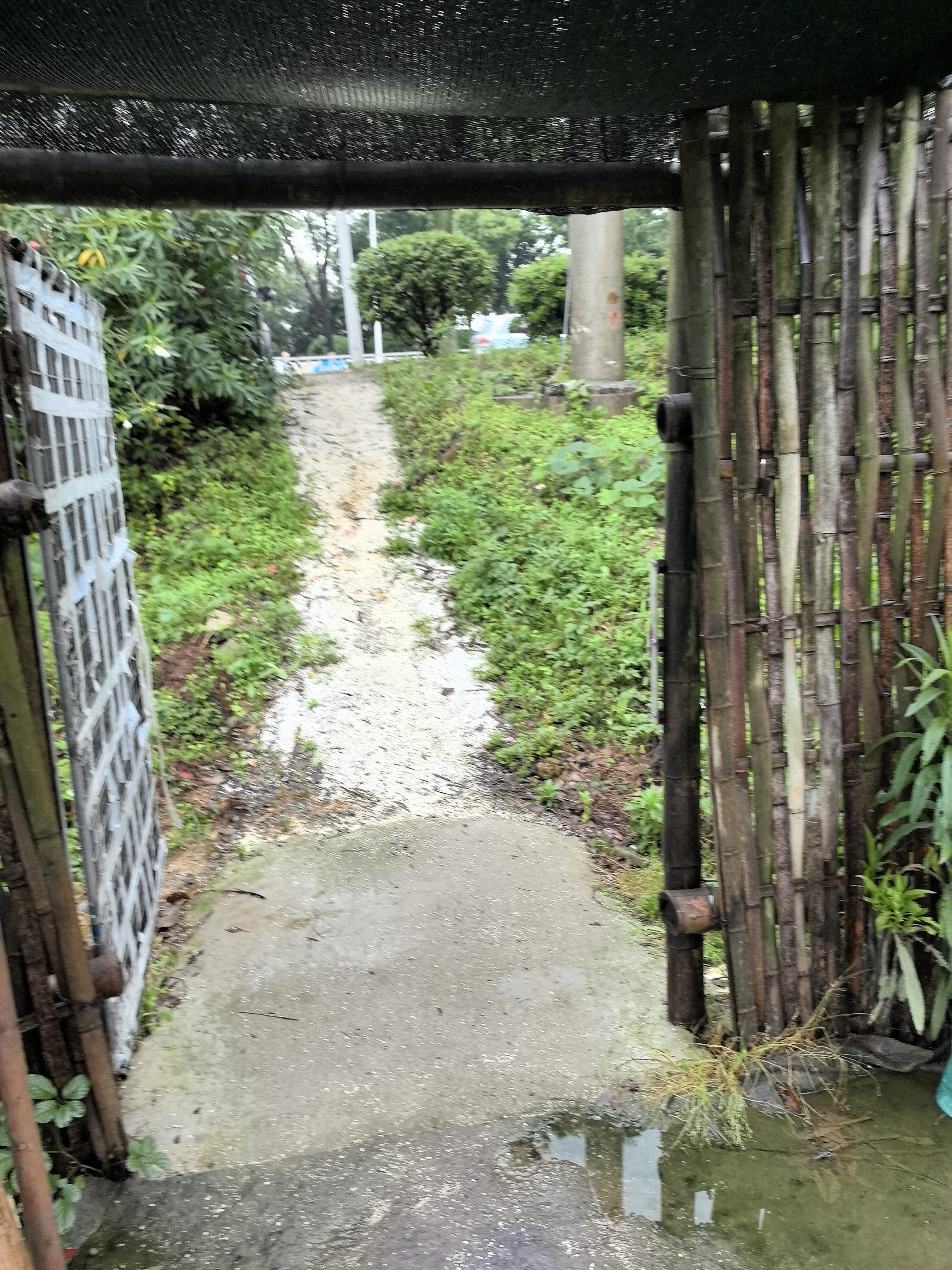 找退休老伴搭子