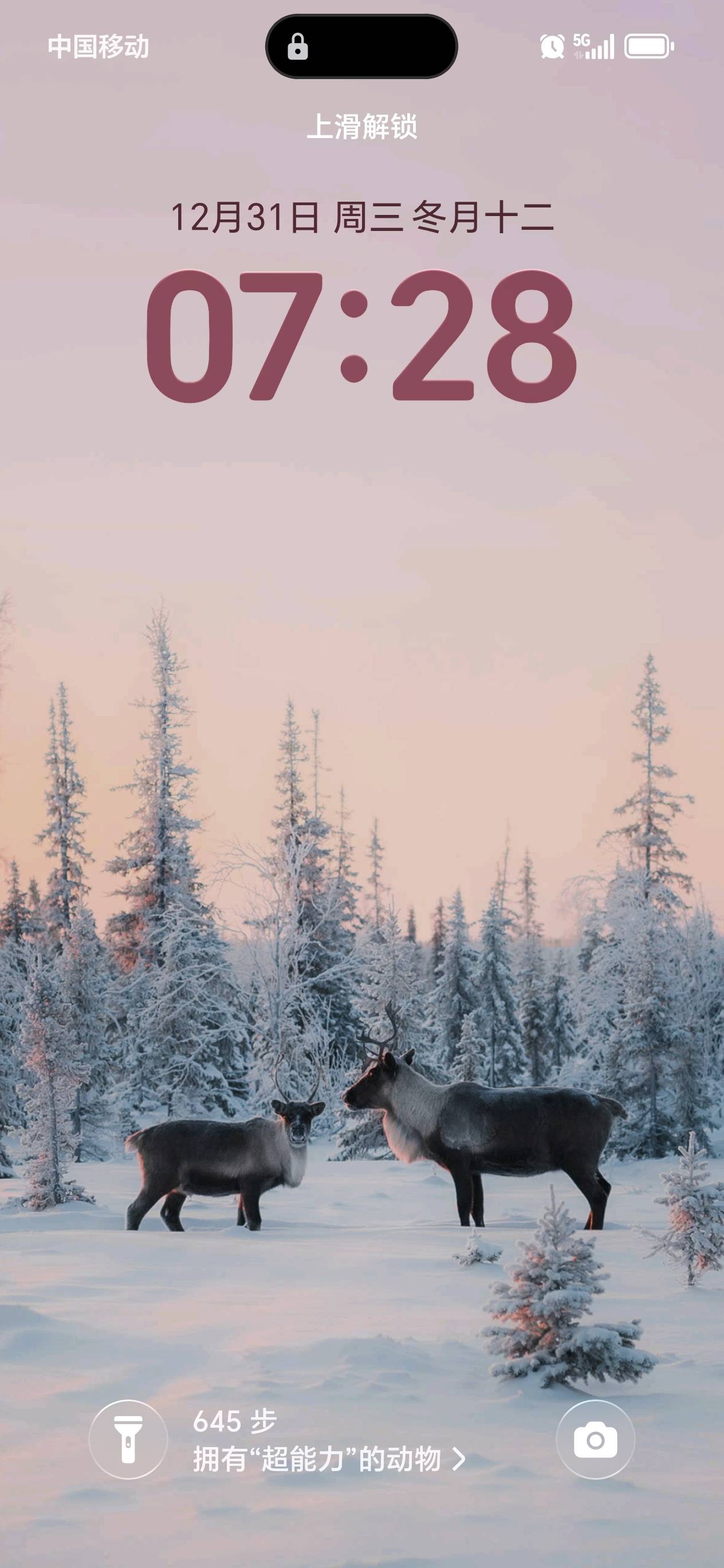 找性格好收入稳定的老伴搭子