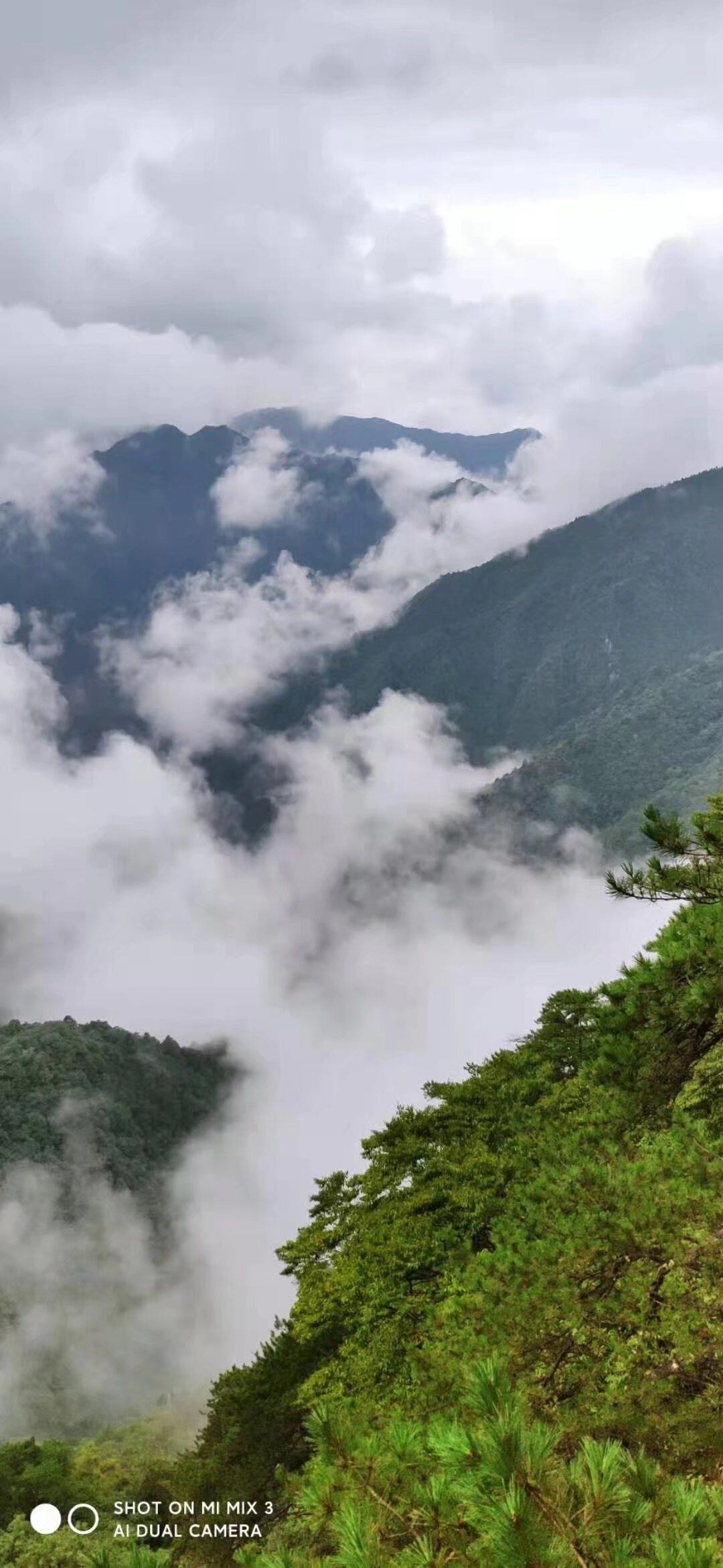 找运动老伴搭子