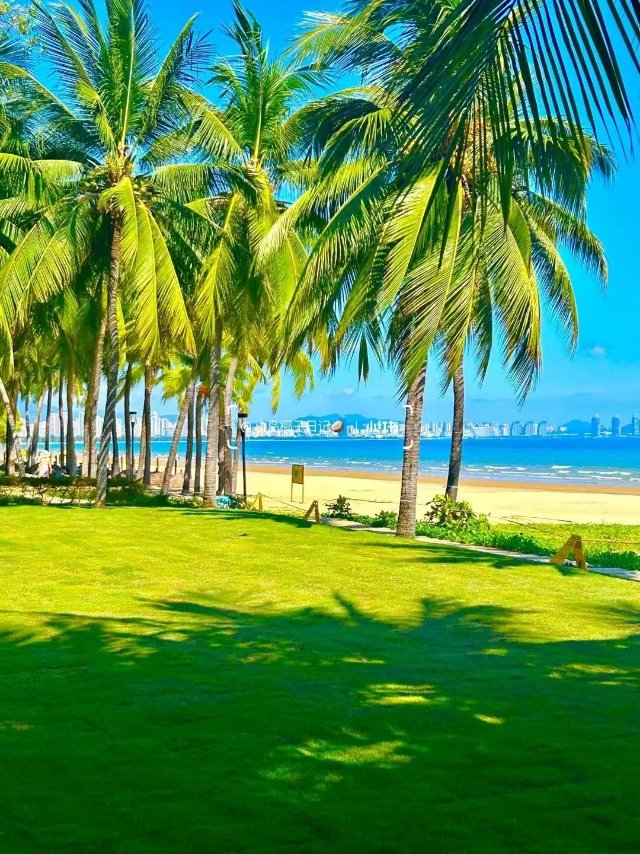 找生活陪伴旅游休闲老伴搭子