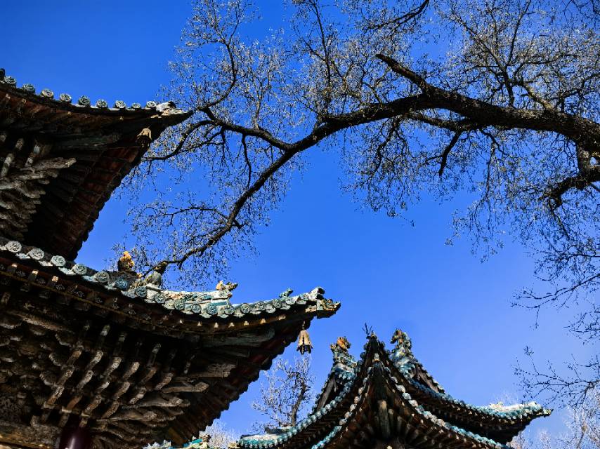 找交友老伴搭子