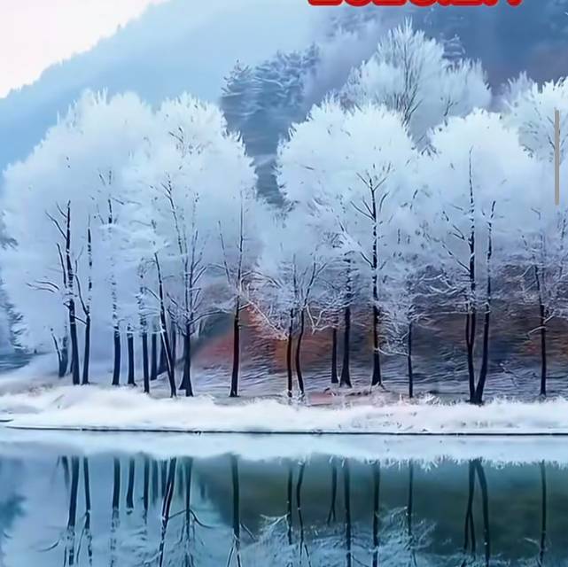 找运动老伴搭子