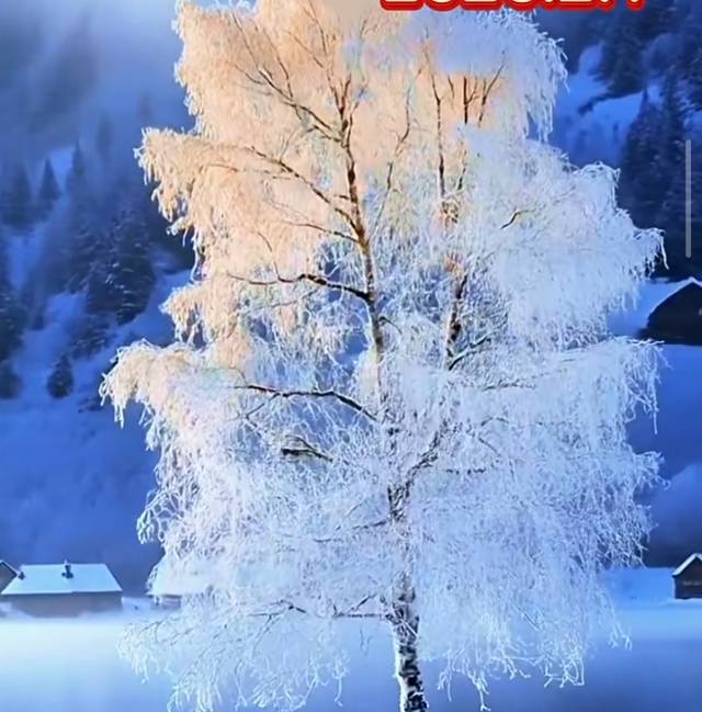 找运动老伴搭子