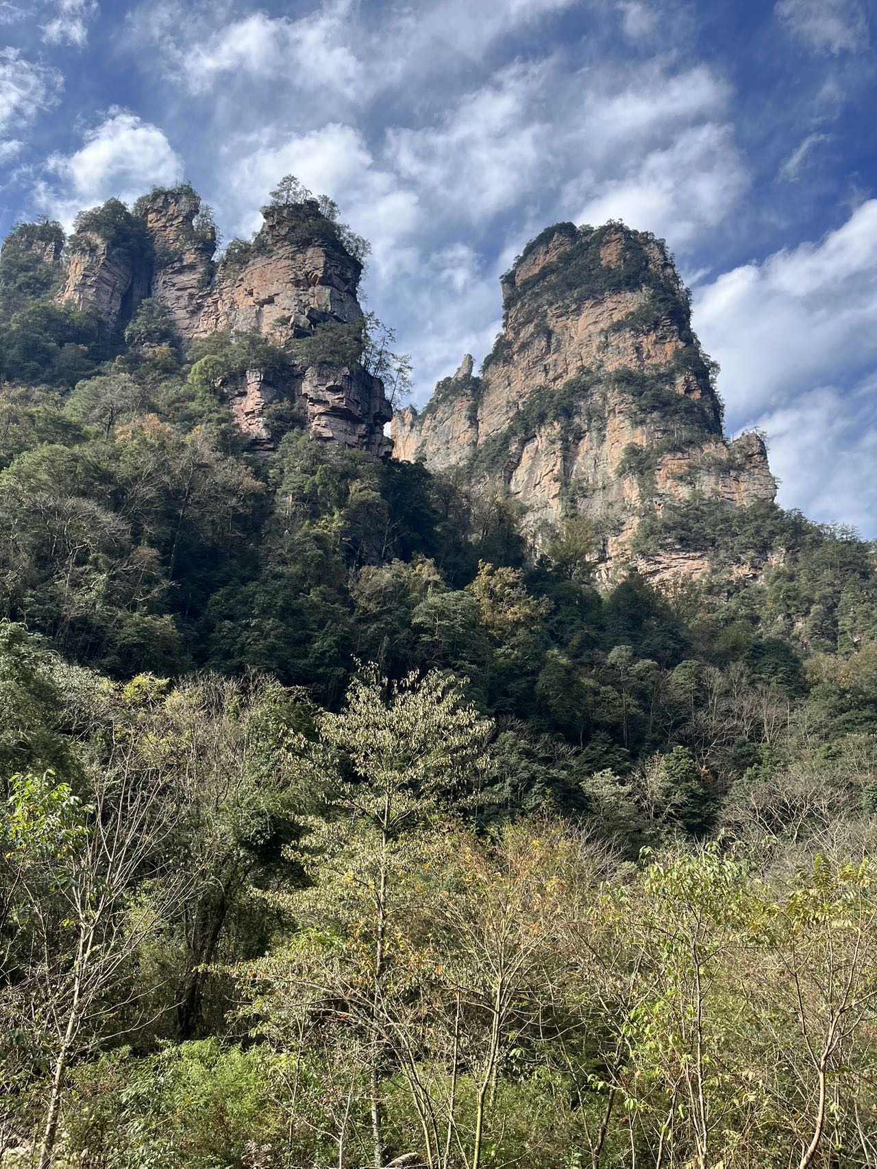 找聊得来老伴搭子