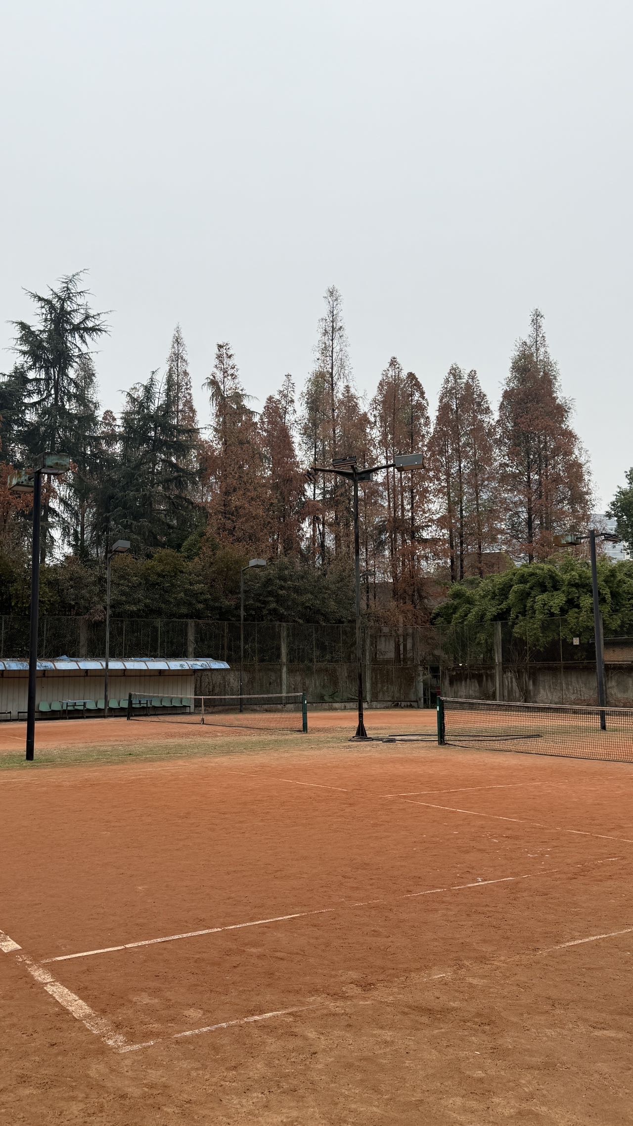 找运动老伴搭子