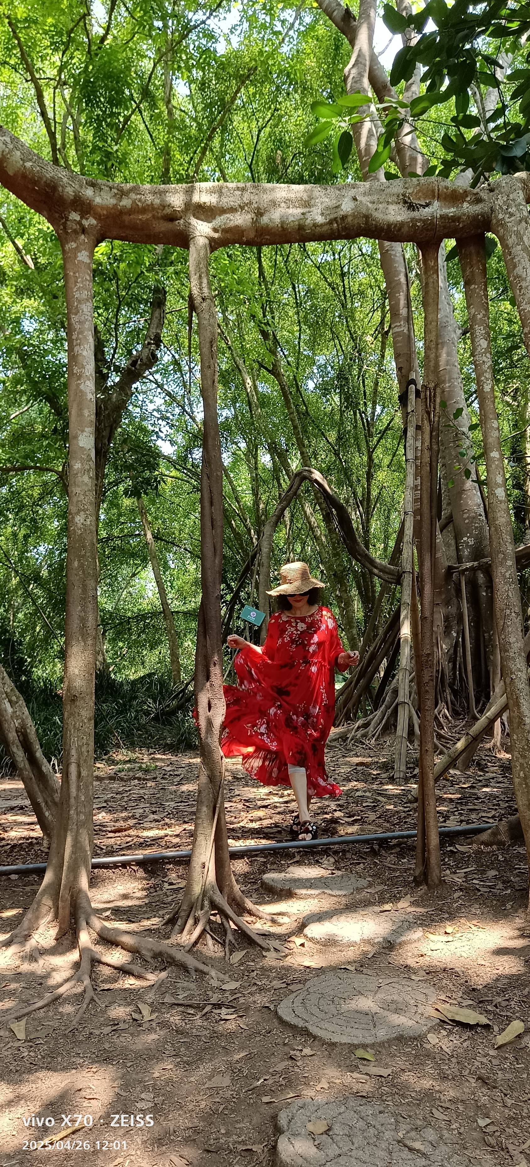 找身体健康外型好老伴搭子