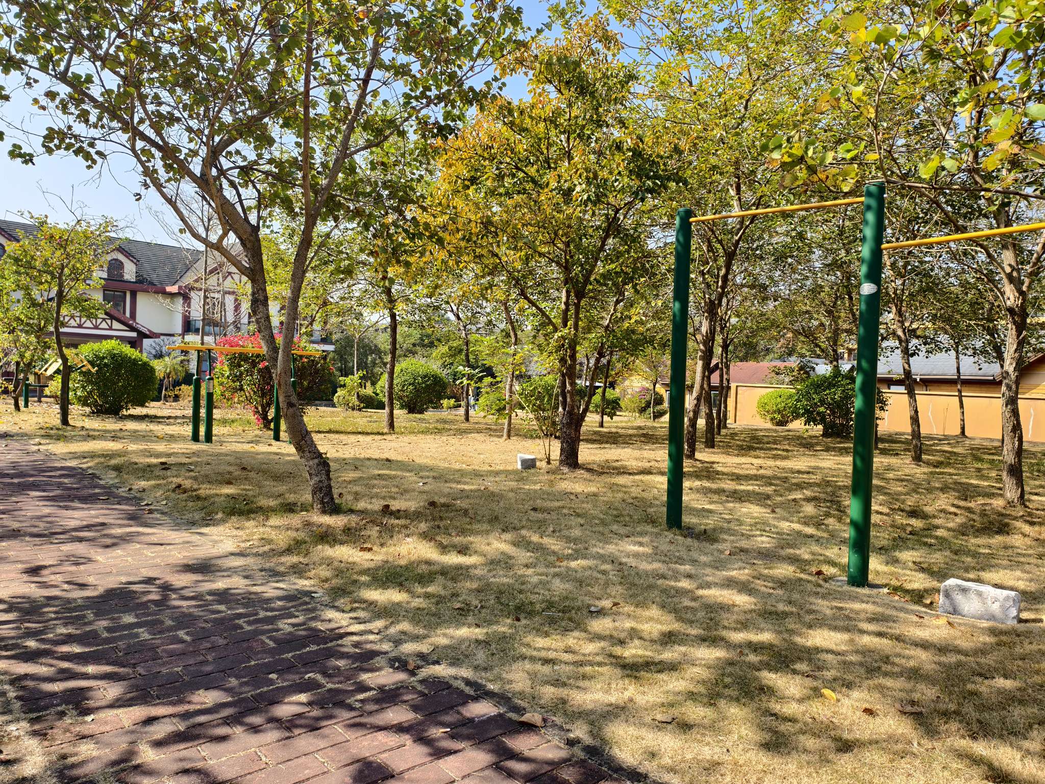 找旅行老伴搭子