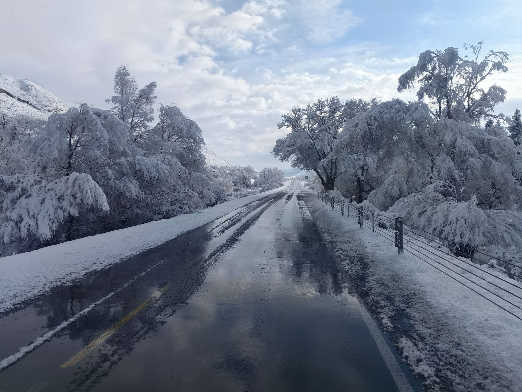 找爱家老伴搭子