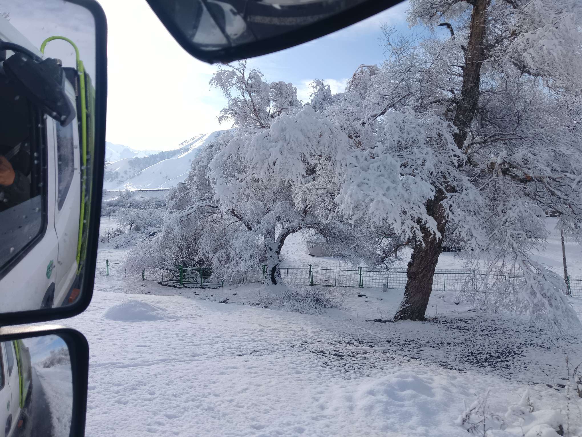 找爱家老伴搭子