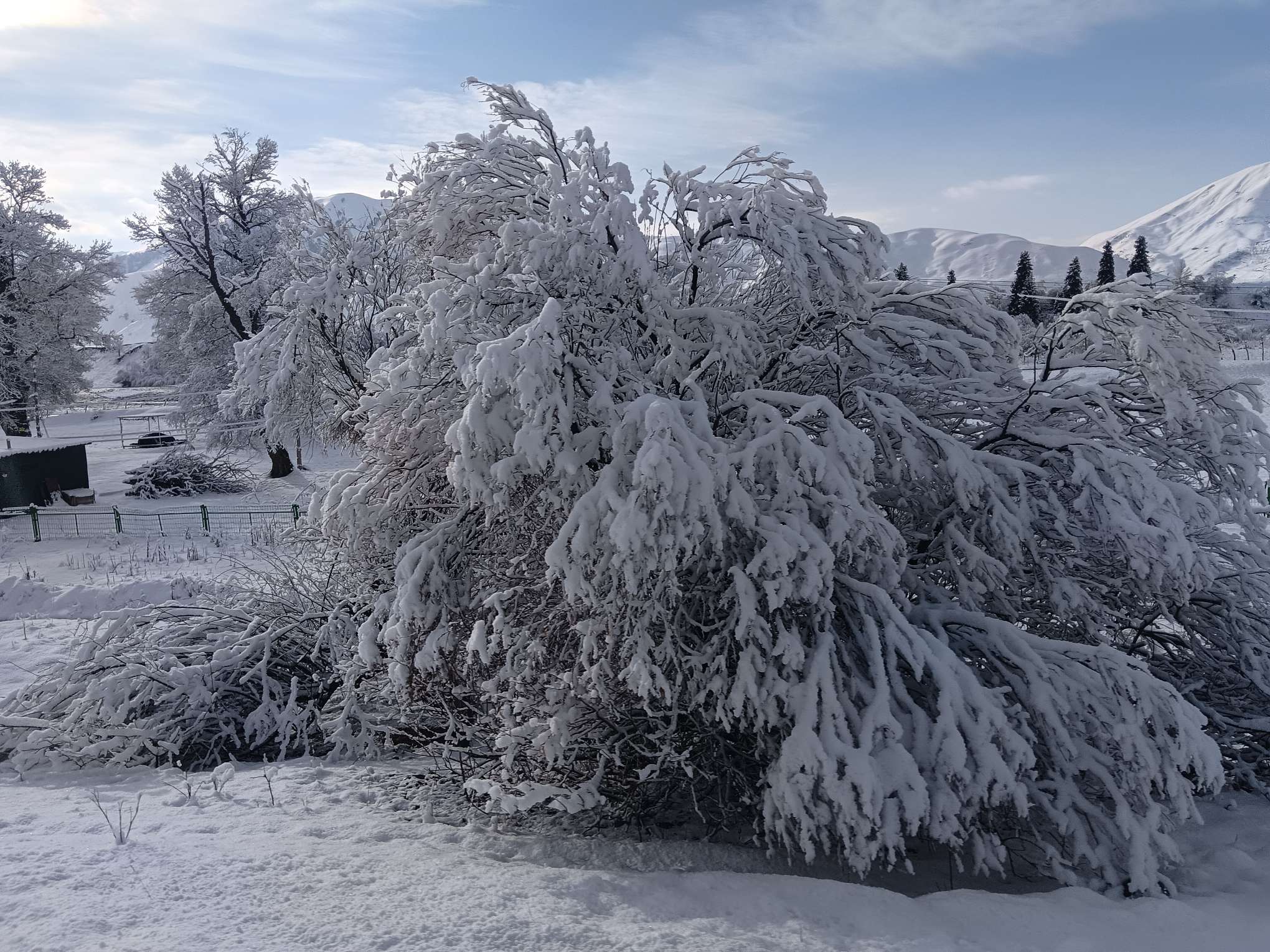 找爱家老伴搭子