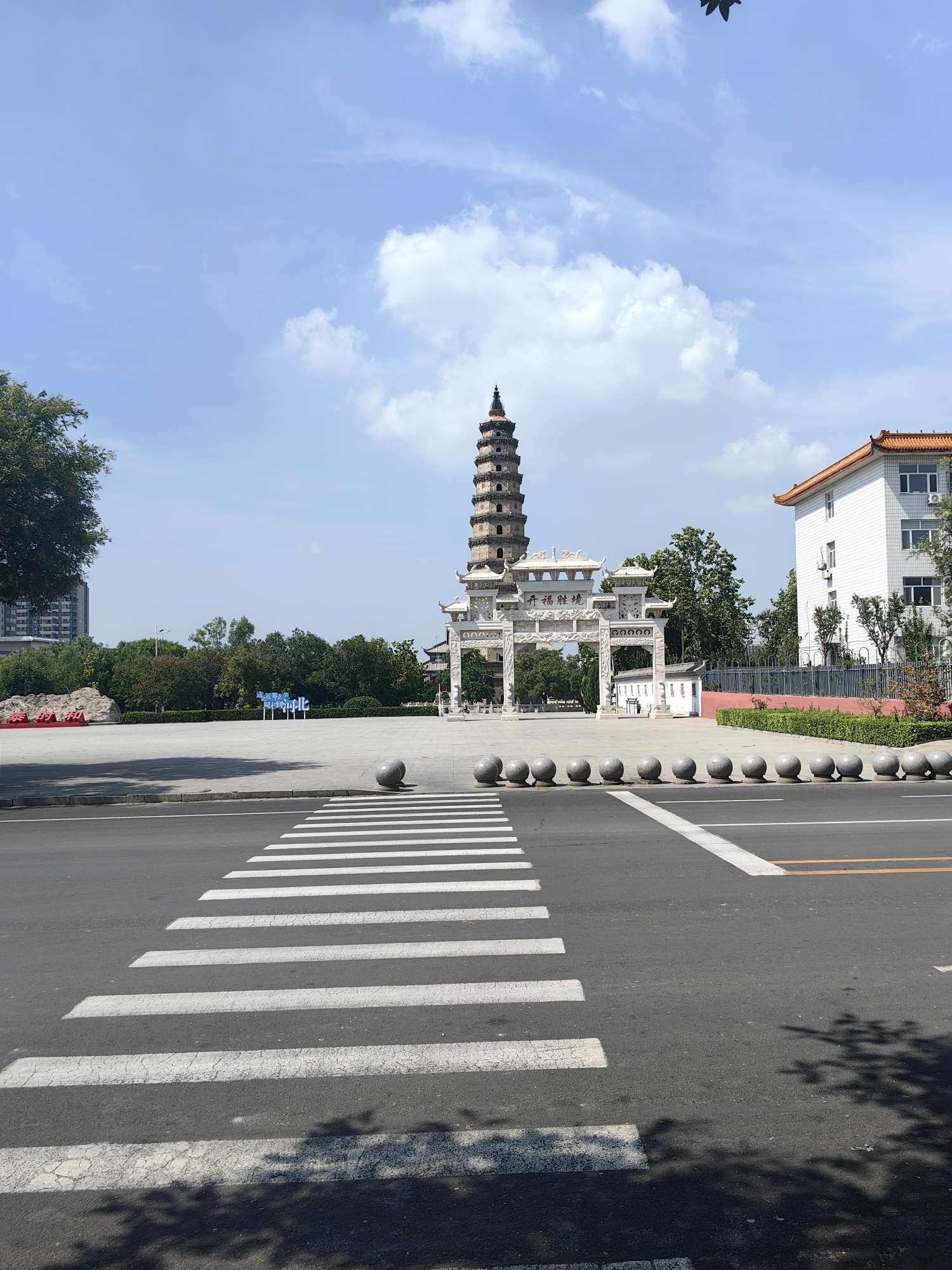 找运动老伴搭子