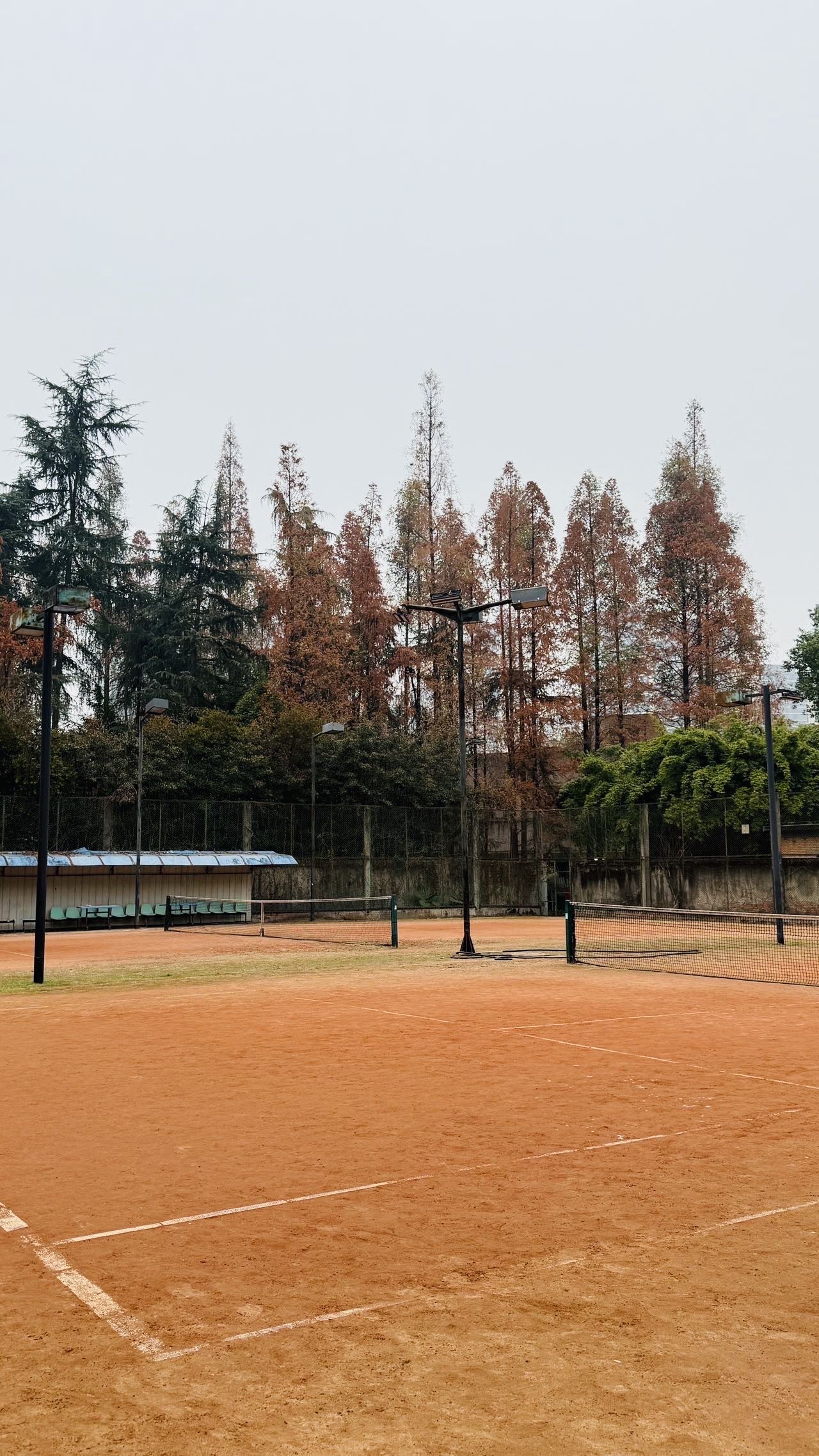 找身心健康的老伴搭子