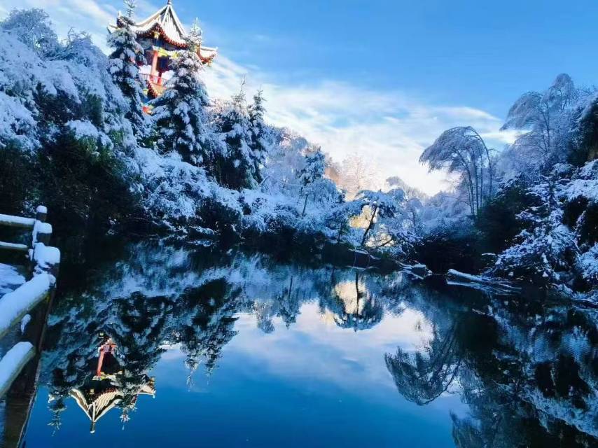 找聊天老伴搭子