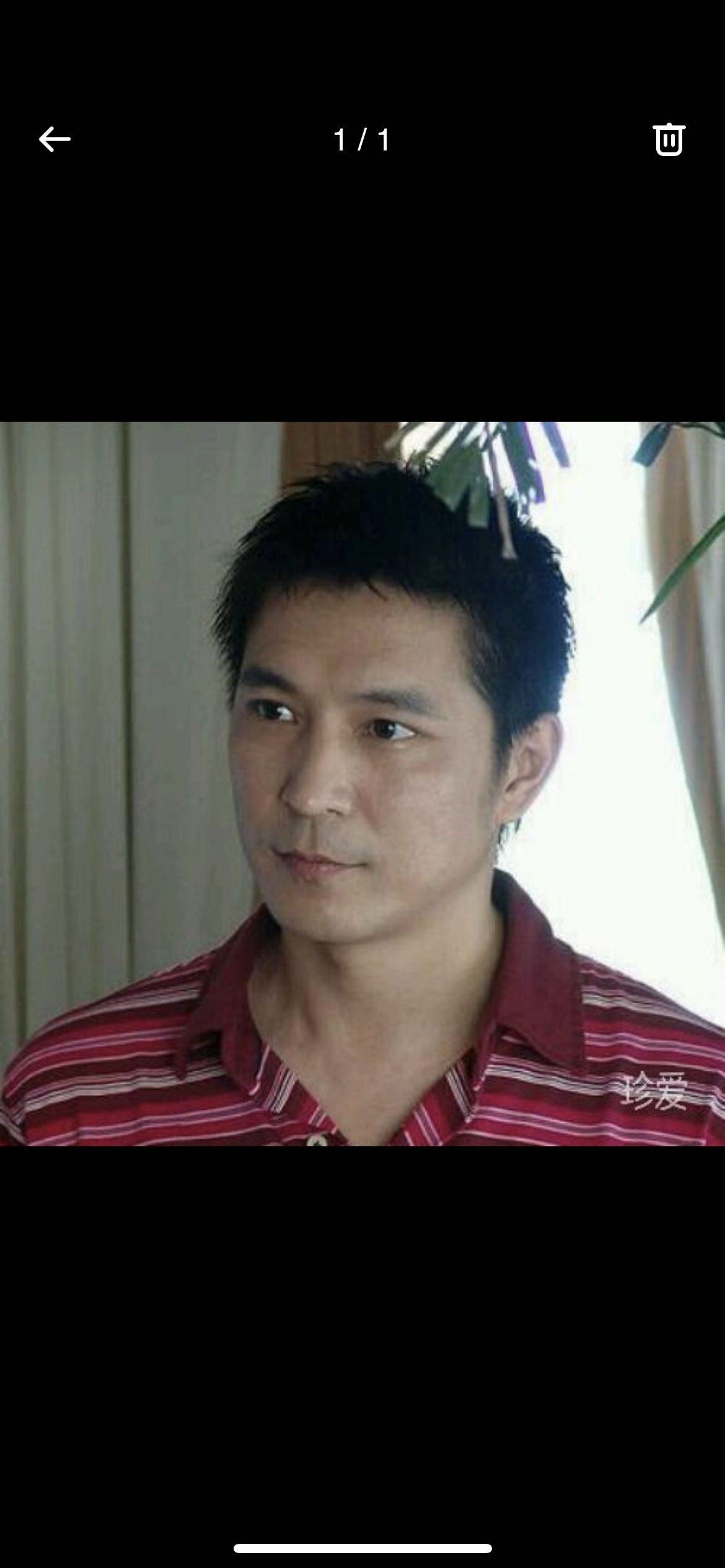 找恋爱老伴搭子