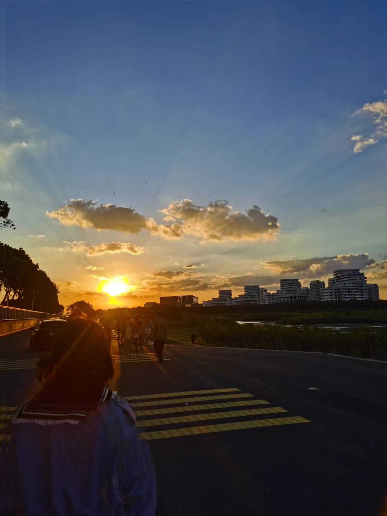 找聊天老伴搭子