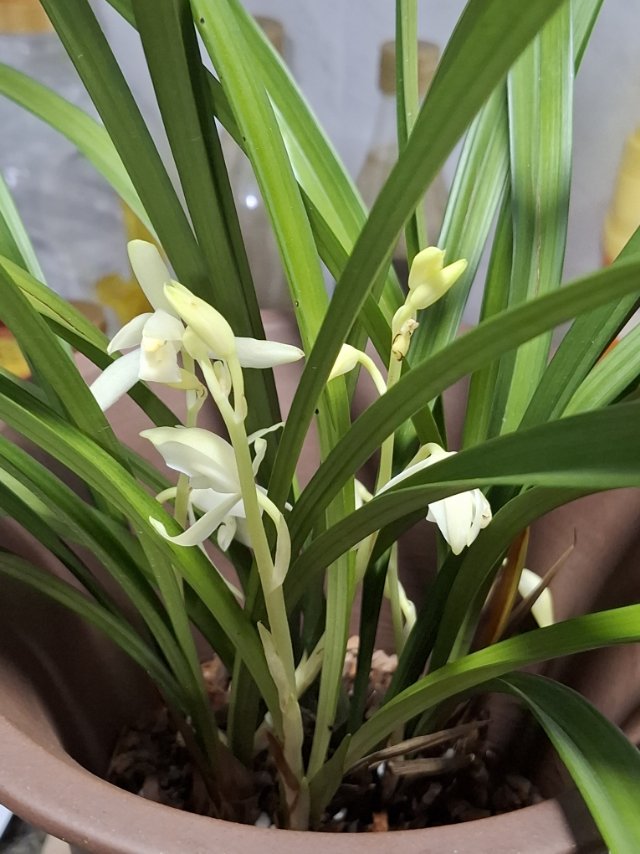 找散步老伴搭子