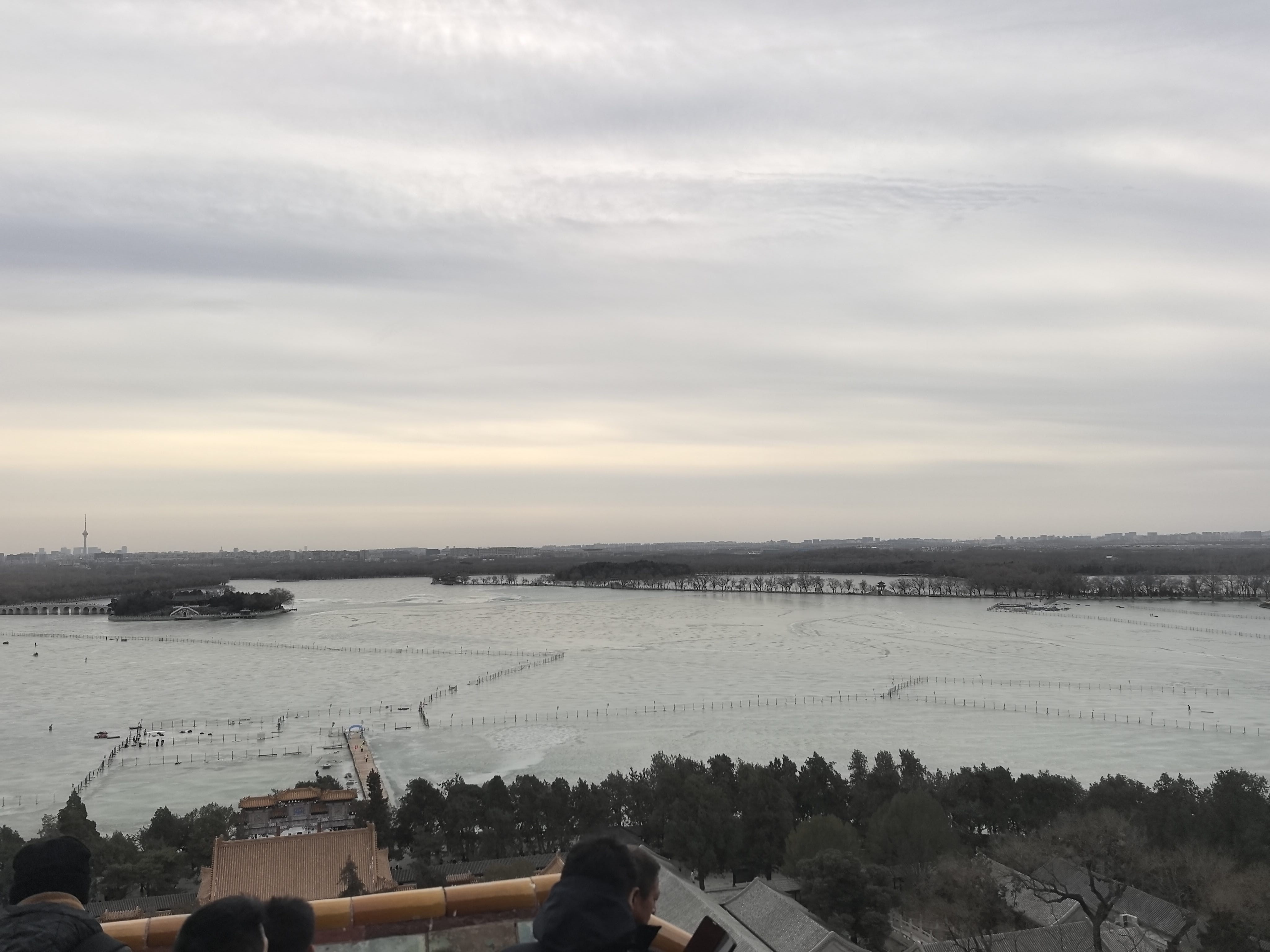 找聊天老伴搭子