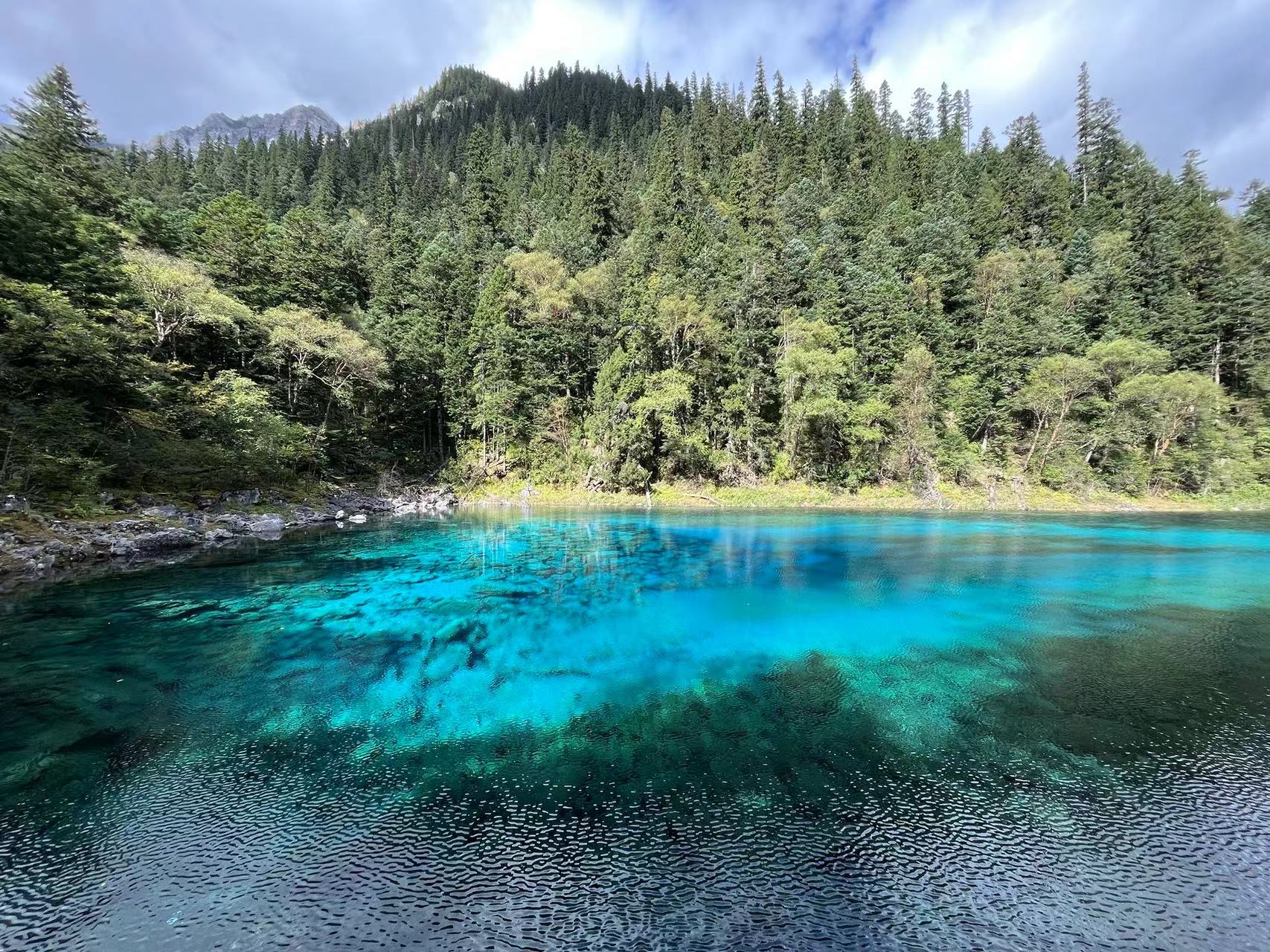 找运动老伴搭子