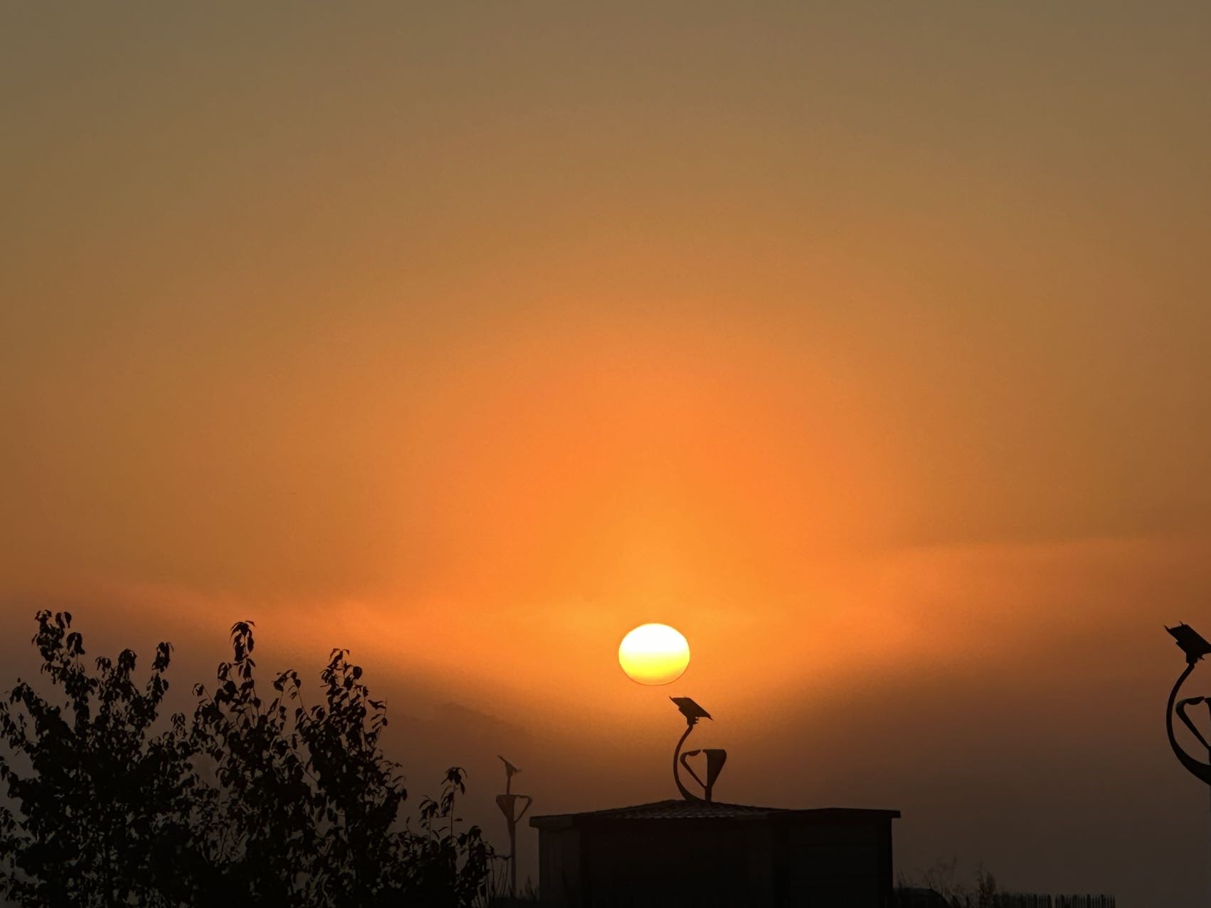 找运动老伴搭子