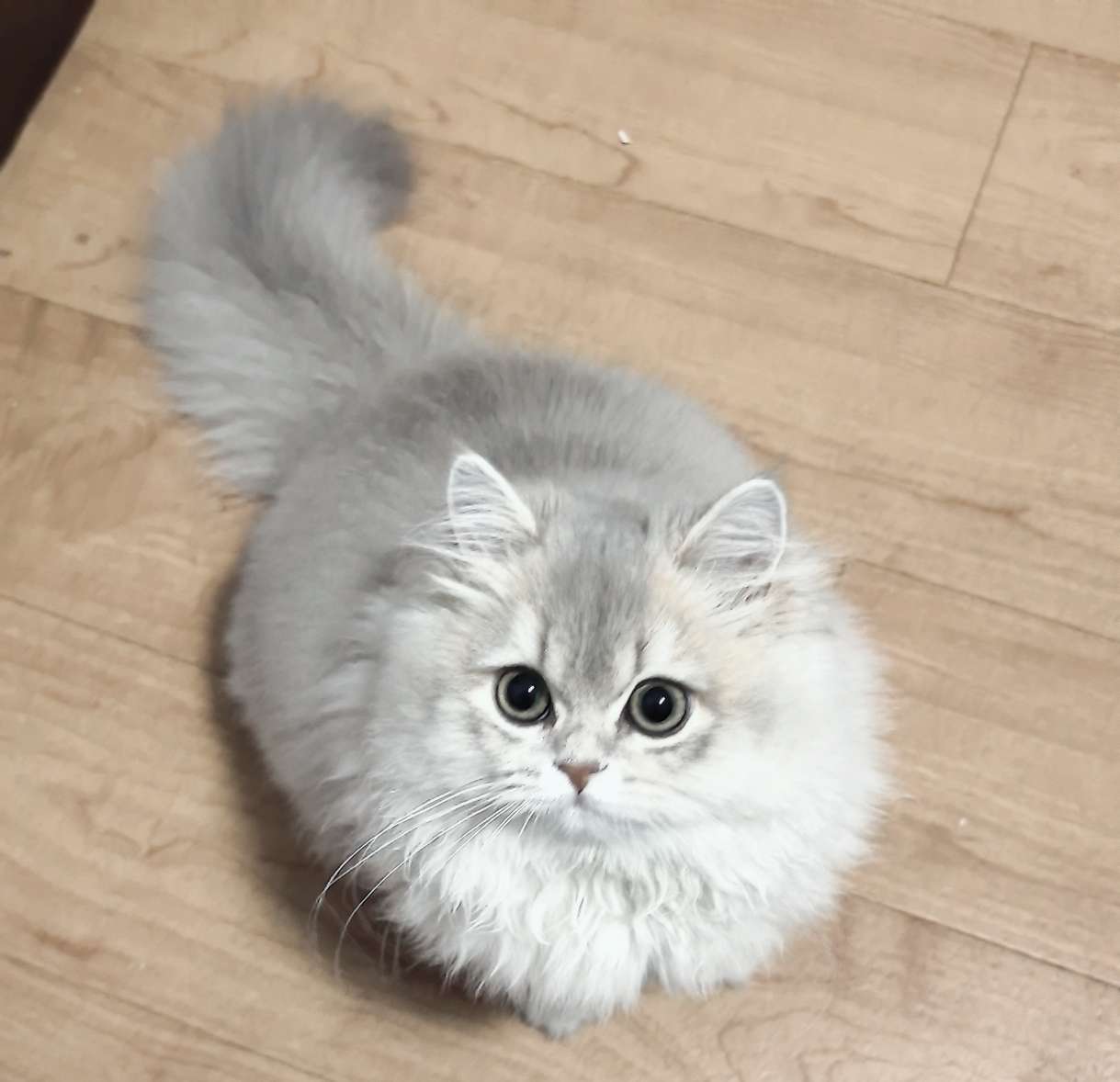 找生活老伴搭子