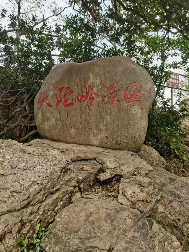 找聊天旅游老伴搭子