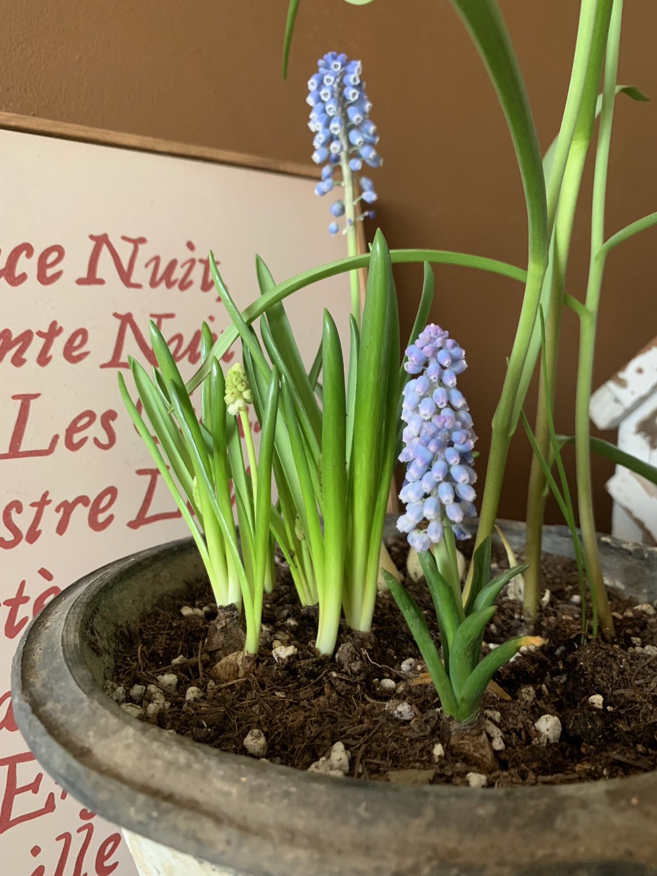 找说话聊天老伴搭子