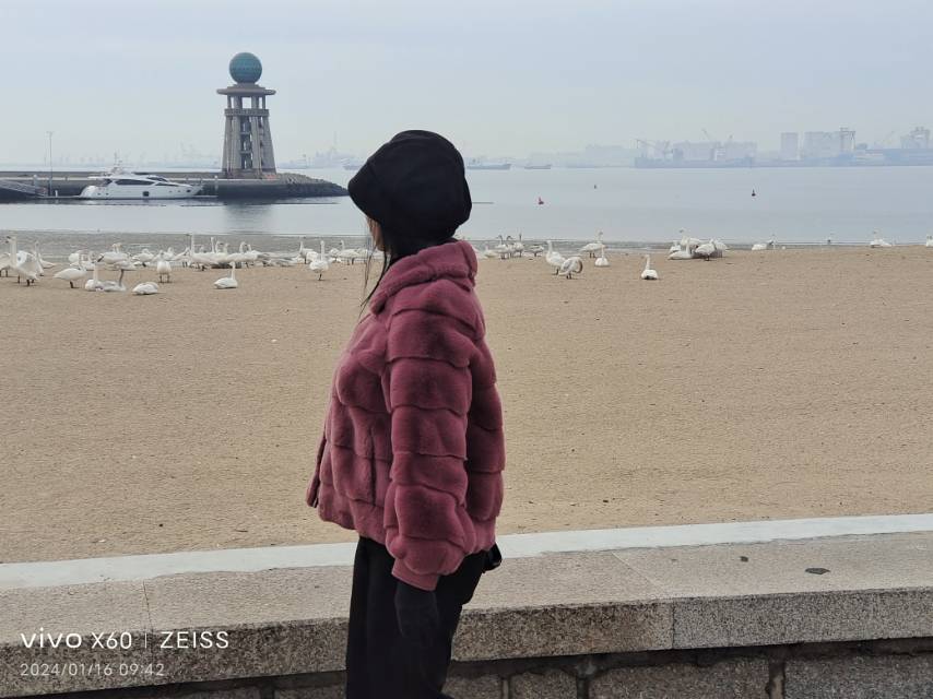 找线上学习老伴搭子