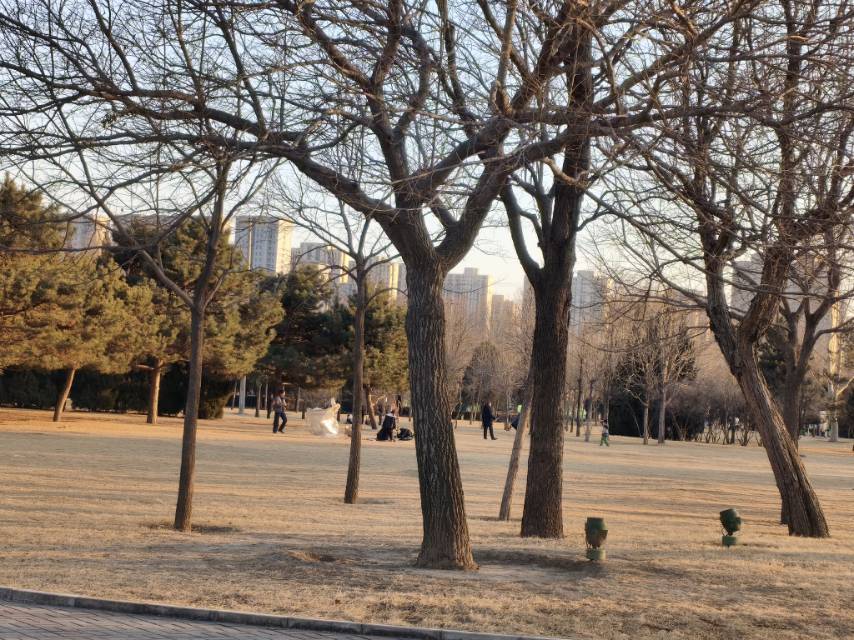 找兴趣老伴搭子