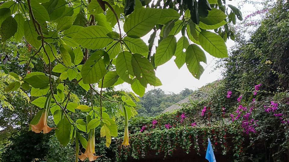 找运动老伴搭子