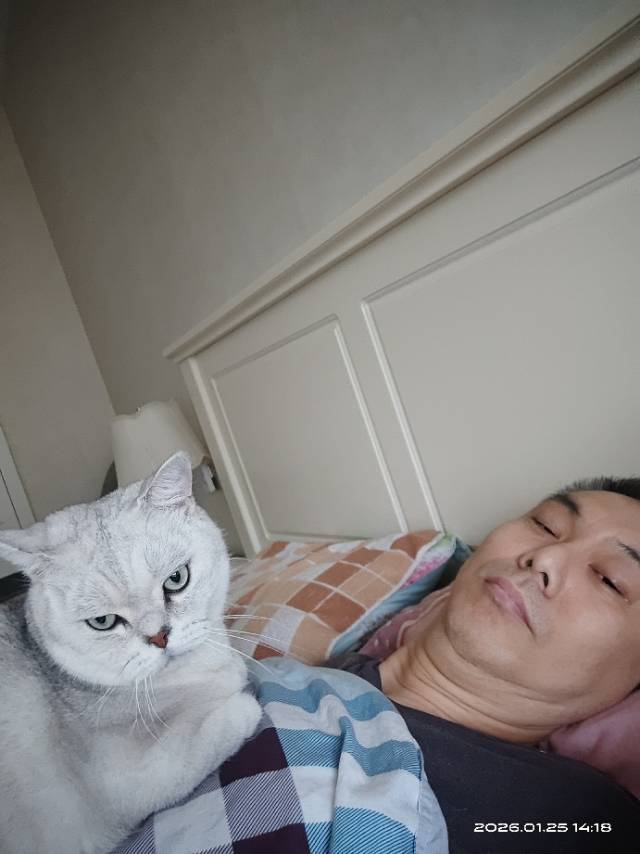 找自驾老伴搭子