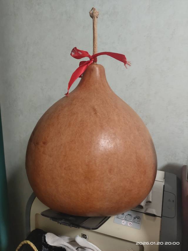 找自驾老伴搭子