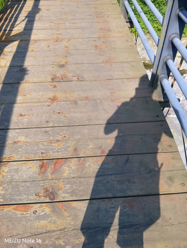 找运动老伴搭子