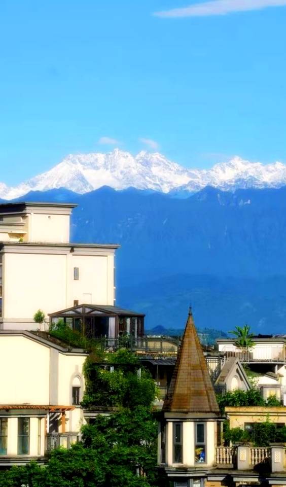 找闲聊老伴搭子