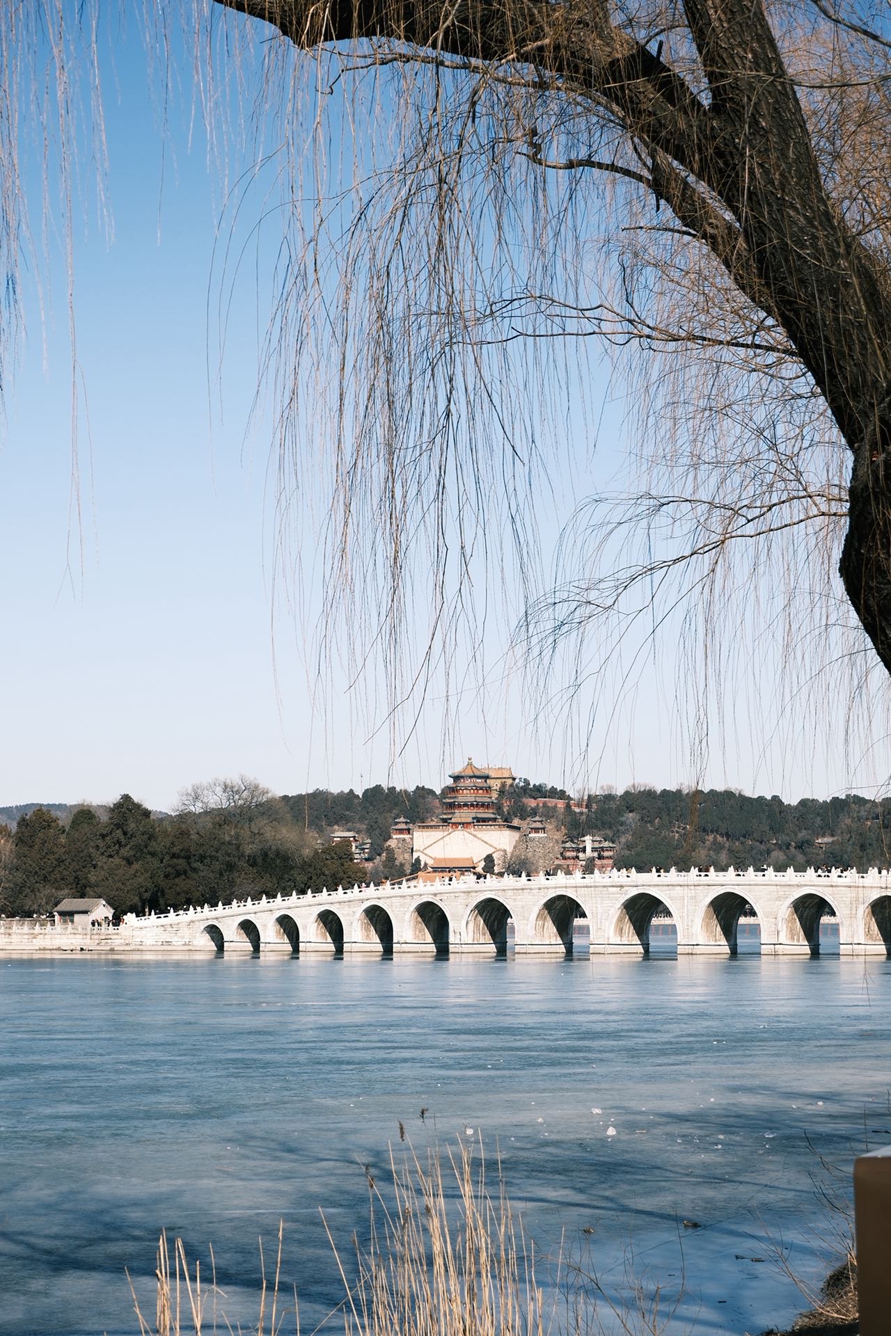 找生活老伴搭子