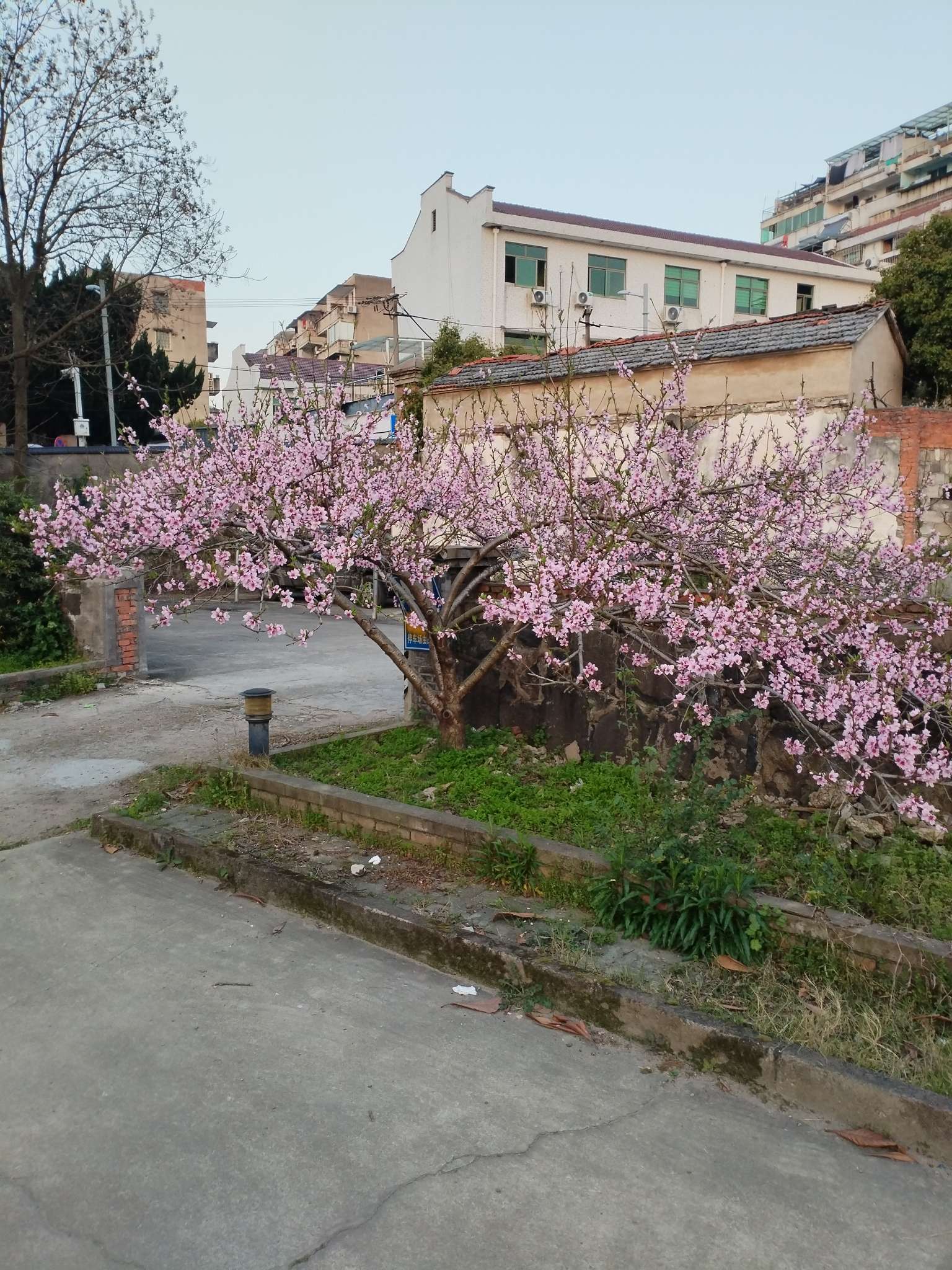 找聊天老伴搭子