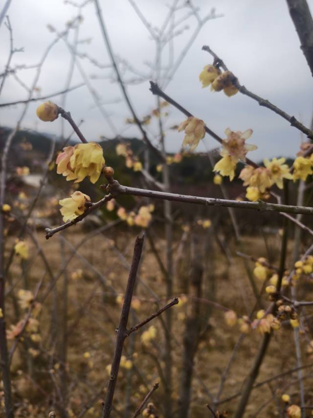 找旅游老伴搭子