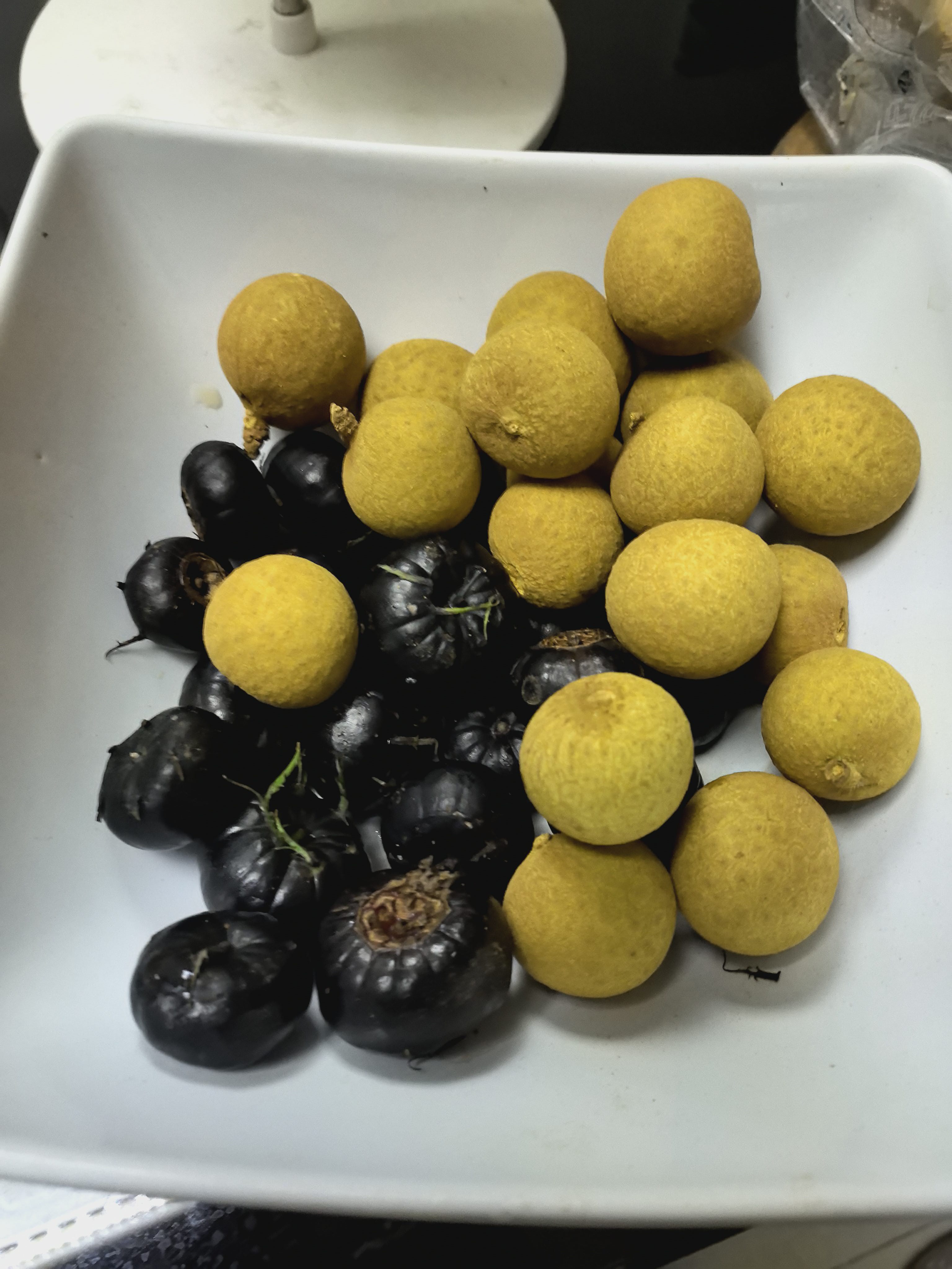 找散步老伴搭子