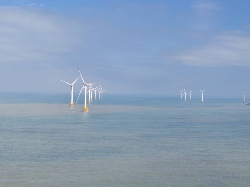 找聊天旅游老伴搭子