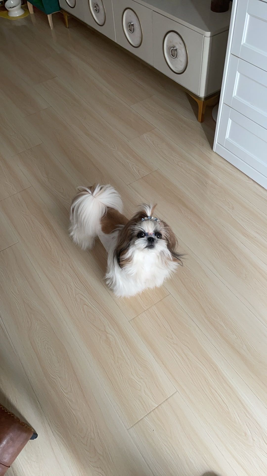 找生活老伴搭子