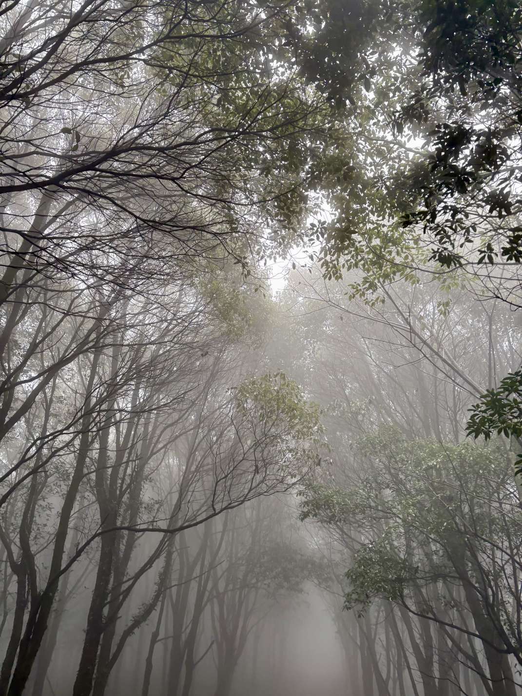 找户外老伴搭子