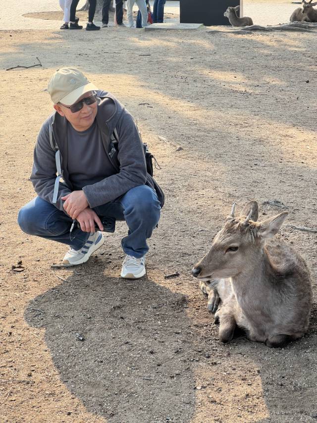 找伴侣老伴搭子